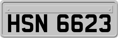 HSN6623