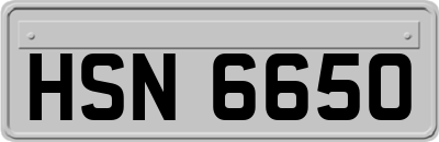 HSN6650