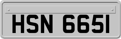 HSN6651