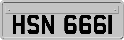 HSN6661