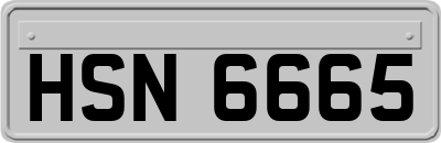 HSN6665