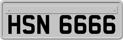 HSN6666