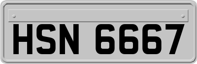 HSN6667