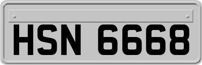 HSN6668