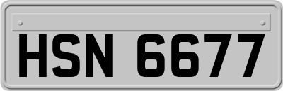HSN6677