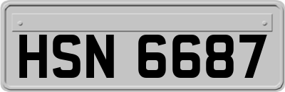 HSN6687