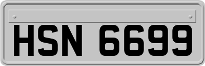 HSN6699