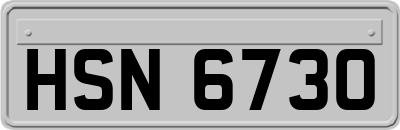 HSN6730