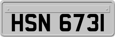 HSN6731