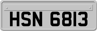 HSN6813