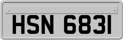 HSN6831