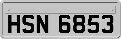 HSN6853