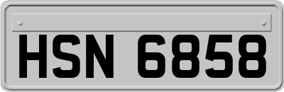 HSN6858