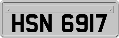 HSN6917