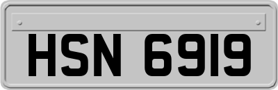 HSN6919