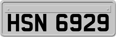 HSN6929