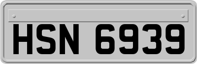 HSN6939