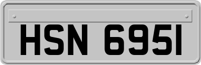 HSN6951