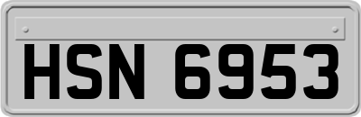 HSN6953