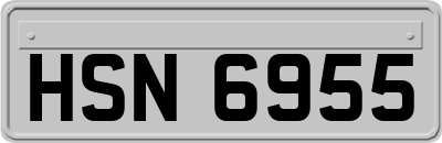 HSN6955