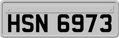 HSN6973