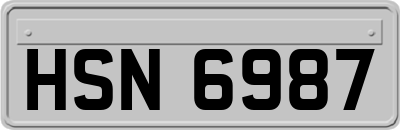 HSN6987