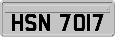 HSN7017