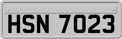 HSN7023