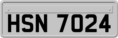 HSN7024