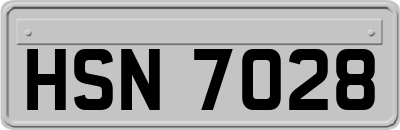 HSN7028