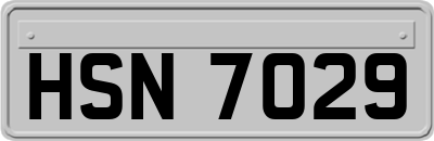 HSN7029