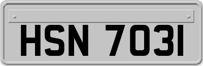 HSN7031