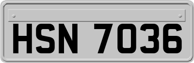HSN7036