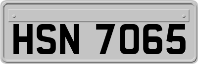 HSN7065