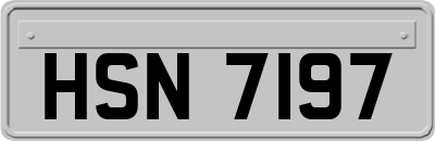 HSN7197