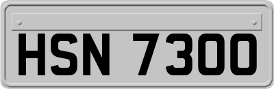 HSN7300