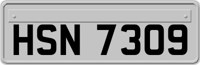 HSN7309