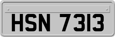 HSN7313