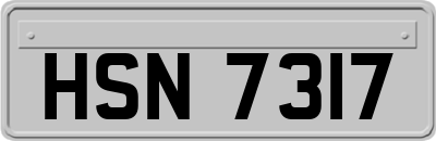 HSN7317