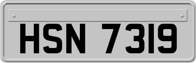 HSN7319