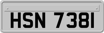 HSN7381