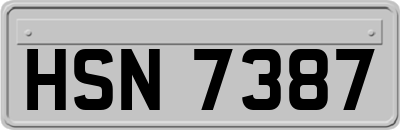 HSN7387
