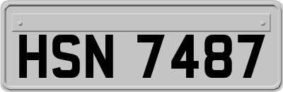 HSN7487
