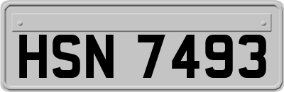 HSN7493