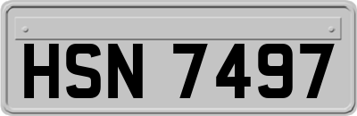 HSN7497