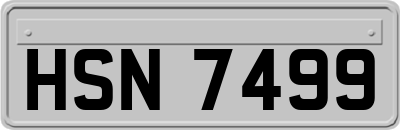 HSN7499