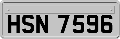 HSN7596