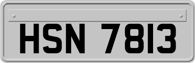 HSN7813