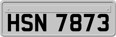 HSN7873