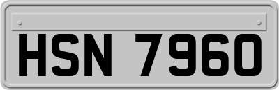 HSN7960